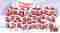 christmas2024-eng.jpg